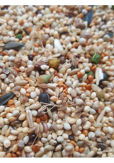 Sultan Papağani Yemi̇ 500 Gr