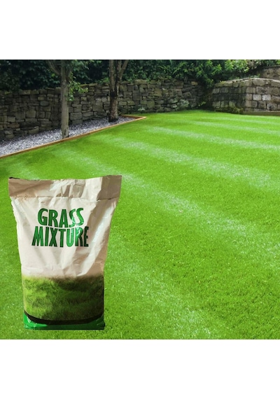 GRass Mixture Galaxy 6 Karışımlı İthal Çim Tohumu 5 KG