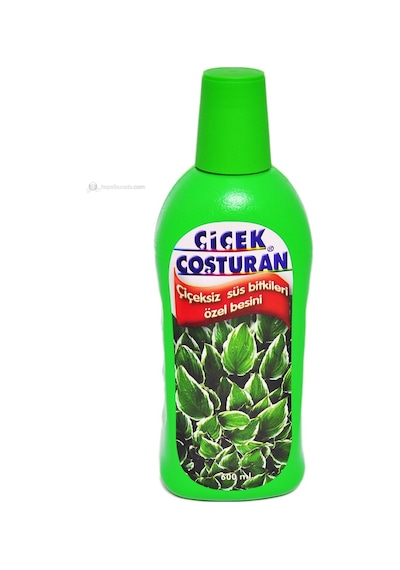 Çiçek Coşturan 1200 Çiçeksiz Süs Bitkileri için