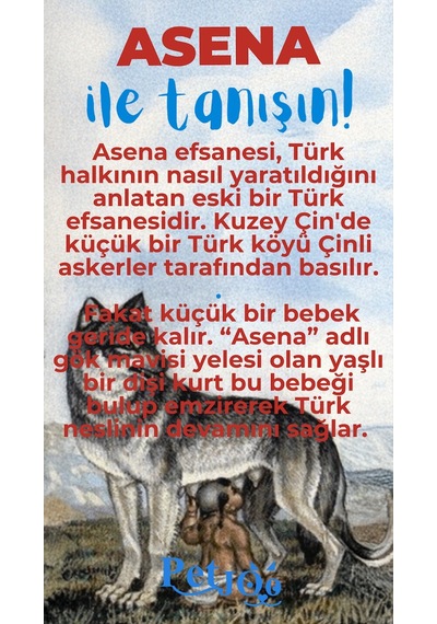 Petjoo 25.Asena Mavi-Kırmızı Qr'lı Köpek Künyesi