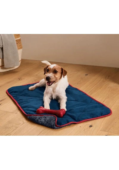 Köpek İçin Battaniye