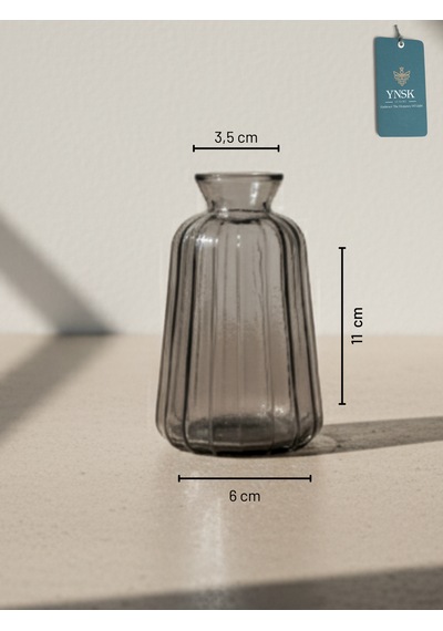 Chacha Home Modern 3'lü Minimalist Cam Çiçek Vazosu Dekoratif Masa Üstü Vazo Seti Füme