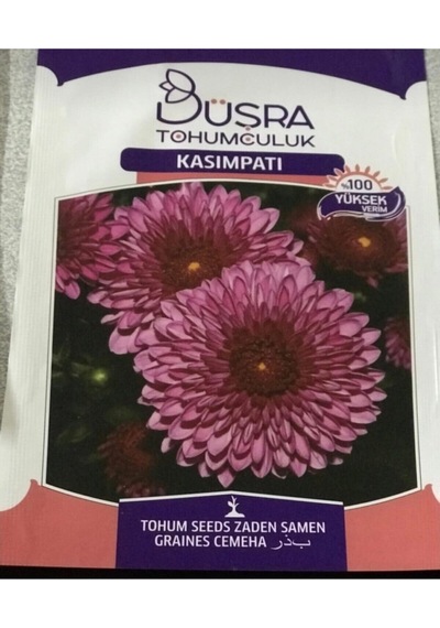 Çiçek Tohumu Kasımpatı