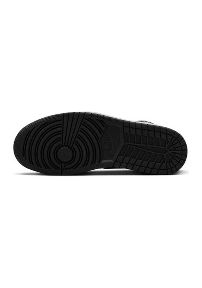 Nike Air Jordan 1 Retro High Og Dz5485-010 Çok Renkli
