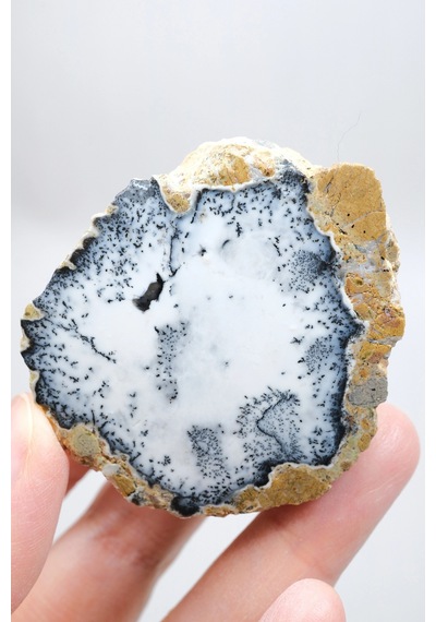 Dendritik Simya: Merlinit Dendritik Opal - Cilalı Çift