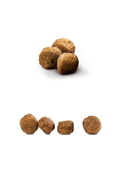 Happy Dog Fit Vital Mini Küçük Irk Yetişkin Köpek Maması 4 KG