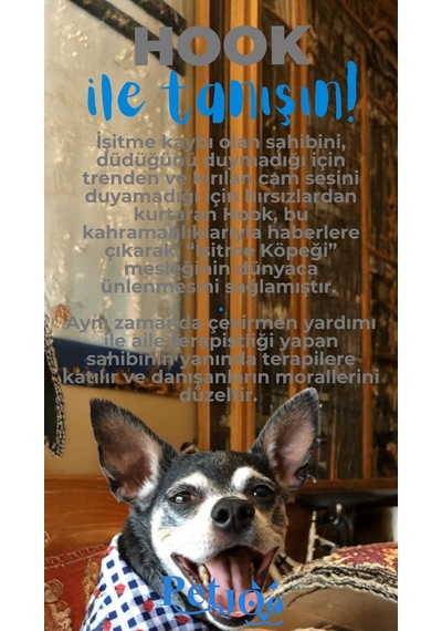 Petjoo 7.Hook Mavi-Gri Qr'lı Köpek Künyesi