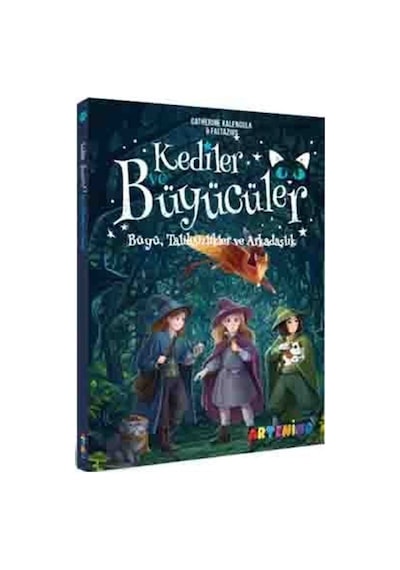 Kediler Ve Büyücüler: Büyü, Talihsizlikler Ve Arkadaşlık / Cat...
