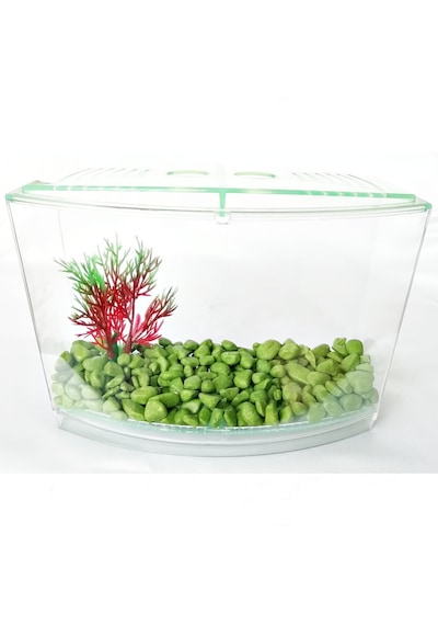 Bölmeli Izgaralı Betta Beta Kabı Tankı Akvaryum 1800 Ml - 19x8x13 Cm Yeşil