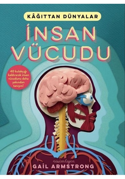 İnsan Vücudu - Kyut-837342