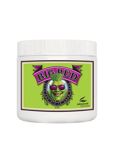 Advanced Nutrients Big Bud Powder 130g