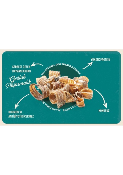 Baffs Naturals Dana Gırtlak Atıştırmalık Doğal Köpek Ödül Maması 100 G