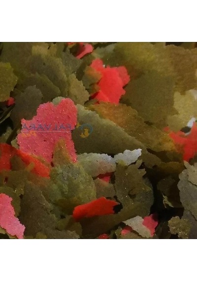 250 Gr Tropikal Cichlid Spirulina Pul Balık Yemi