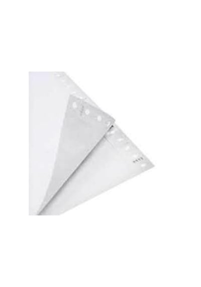 Ekofis Sürekli Form Bilgisayar Formu 11 x 24 2n 60 G 1000'Li