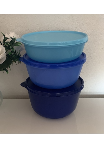 Tupperware Mucize Şeker Saklama Ve Servis Kabı 3 Lü Set Yeni Renkler Mavi