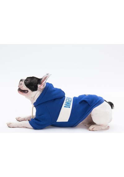 Pawstar Mavi Cute Köpek Hoodie Köpek Sweat Köpek Kedi Kıyafeti