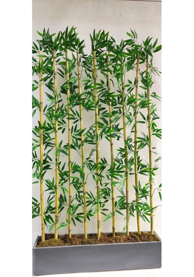 Rüzgar Yapay Çiçekçilik 170 Cm Bambu Seperatör Yeşil