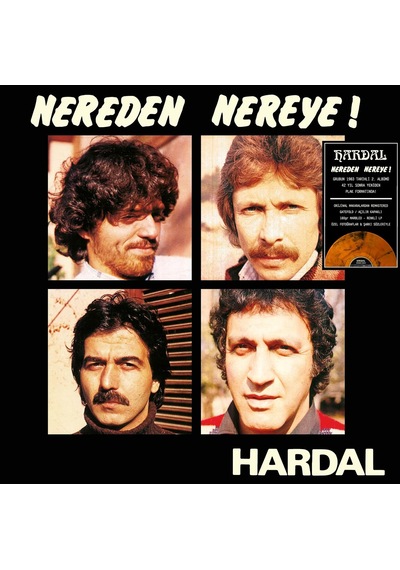 Hardal Nereden Nereye Renkli Plak, Lp Vinyl