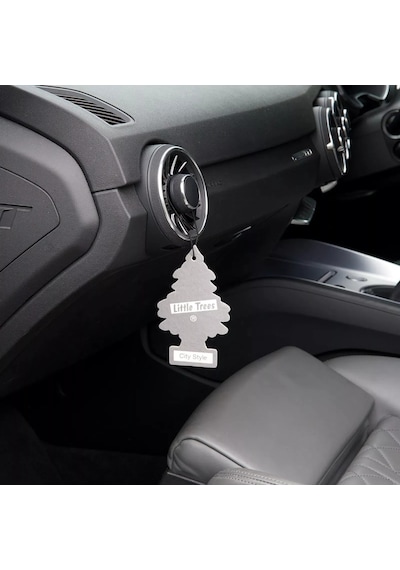 Car Freshner Asma Koku 6'lı Şehir Tarzı