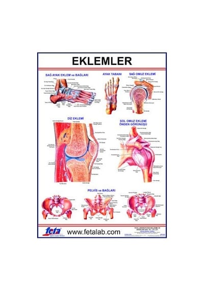 EKLEM LEVHASI 70x100 EBATLARINDADIR.