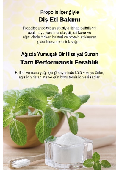 Dashu Daily Mouthwash Cool Mint Nane Aromalı Ağız Bakım Suyu 800 ML