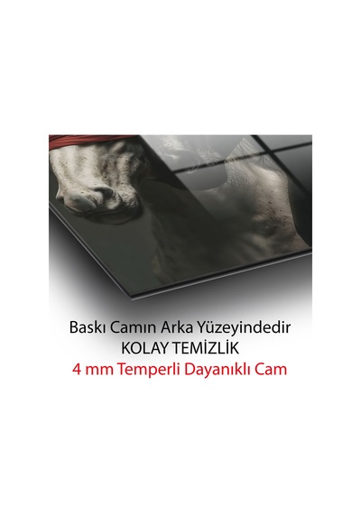 Kör Aşk Temalı Atlar Cam Tablo Siyah Beyaz Ve Kırmızı Detaylı Dekoratif Modern Duvar Sanatı Hayvan Figürlü Dekoratif Duvar Tablosu, Salon, Ofis Ve Çalışma Alanı Dekoru,