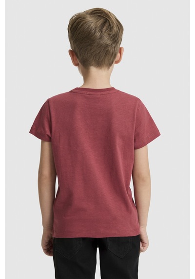 U.s. Polo Assn. Erkek Çocuk Vişne Tişört 50327000-vr223