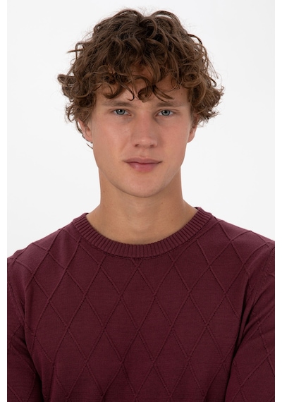 U.S. Polo Assn. Erkek Slim Fit Bisiklet Yaka Desenli Bordo Kazak 50315748-VR177