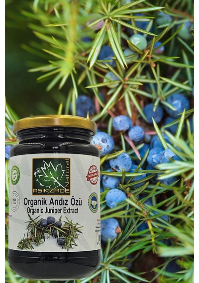 Aşıkzade Organik Andız Özü 370 Ml 480 G