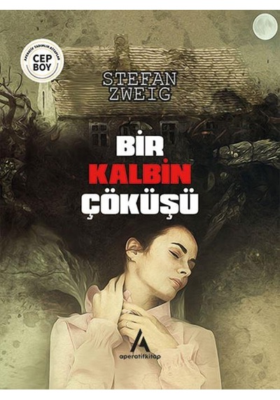 Bir Kalbin Çöküşü - Stefan Zweig - Cep Boy Aperatif Tadımlık Kita