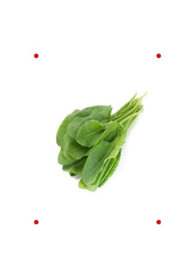 Ekşi Kuzukulağı Tohumu - 3 Gram
