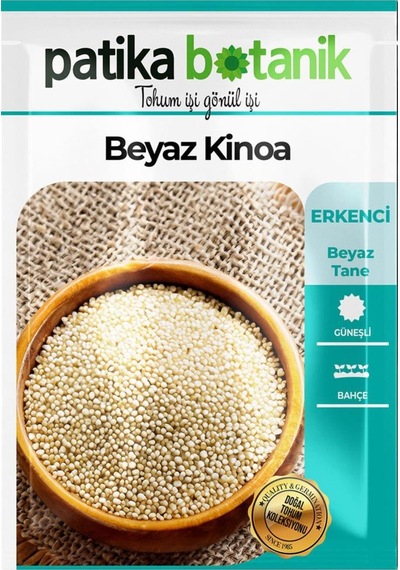 100 Adet Beyaz Kinoa Tohumu