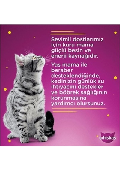 Whiskas Sığırlı Pure Delight Yetişkin Kedi Yaş Maması 28 x 85 G