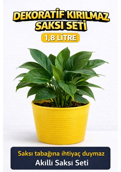 2 Li Saksı Seti 15 Pot Üretim Saksısı + 1,8 Litre Sarı Dekoratif Kırılmaz Saksı Tabaksız Uyumlu