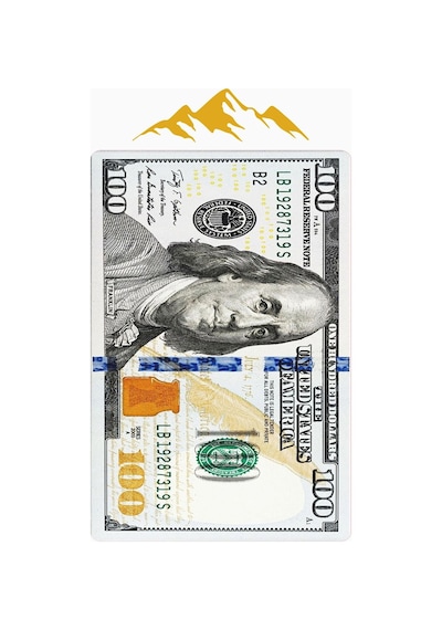 Modern Dolar Desen Dijital Baskı Kaymaz Taban Halı H0167 Renkli