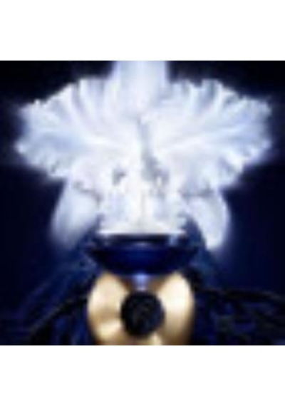 Guerlain Orchidee Imperiale 5G Day Cream 50 ML