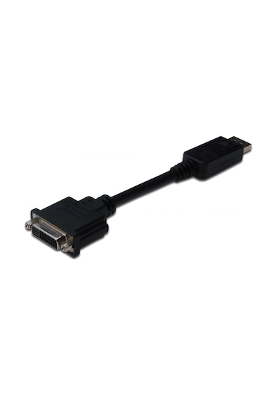 DisplayPort (DP) - DVI-I Adaptörü, Kablolu, DP Erkek - DVI-I (24