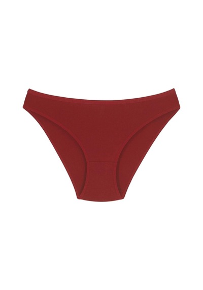 1001 Kadın 5'lı Günlük Slip Külot V18-Pudra-Somon-Kapiçino-Kiremit-Bordo Çok Renkli