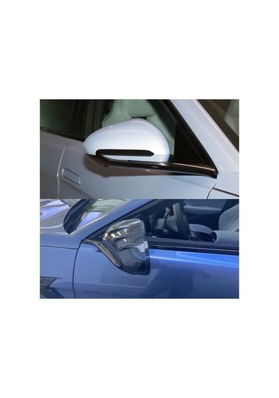 Red Lion Parts Byd Seal Awd Karbon Fiber Görünüm Yan Dikiz Ayna Kapakları Abs 2 Li Set