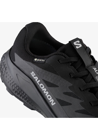 Salomon Erkek Koşu/fıtness Ayakkabı Alphaglıde Gore-tex L47802100 Siyah