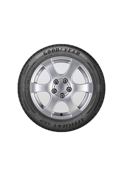 Goodyear Efficientgrip Performance 195/55R16 87H Yaz Lastiği 2025