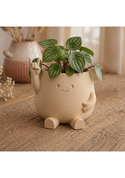 Alvera Smiley Face Planter 3d Baskı Gülümseyen Karakterli Saksı-bej