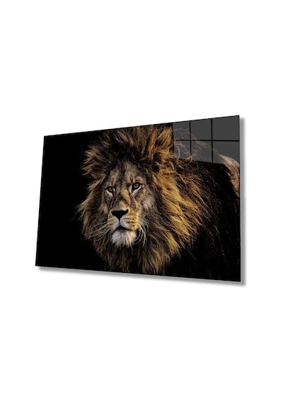 Aslan 20 Hayvan Cam Tablo