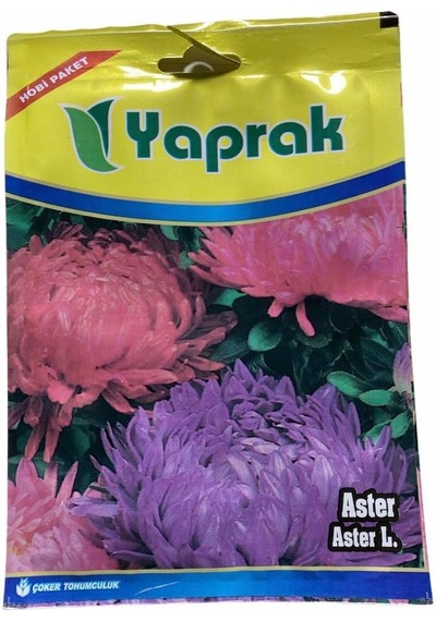 Aster Çiçeği Tohumu 50 Adet Aster L Aster Flower Seed N111773