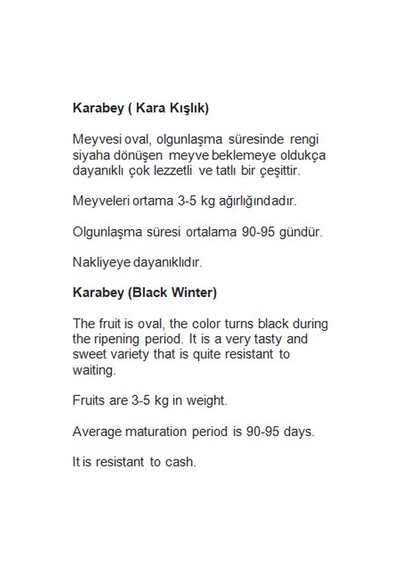 AGRodal Tarım Ata Tohumu Yerli Kavun Karabey 100 Adet Tohum