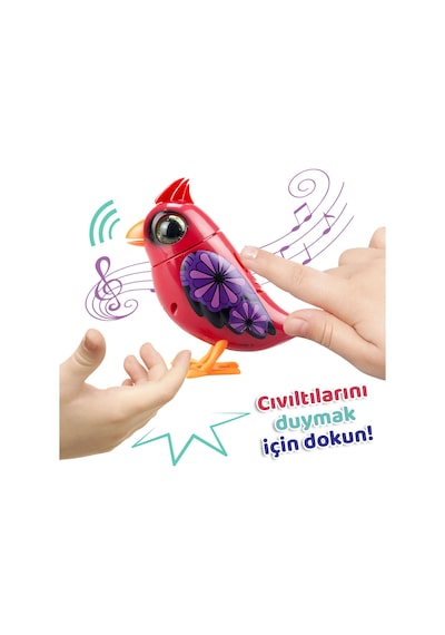 Digibirds Tekli Paket Seri 1 - Model 4