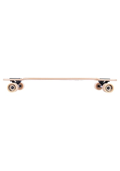 Tempish Coon Longboard Çok Renkli