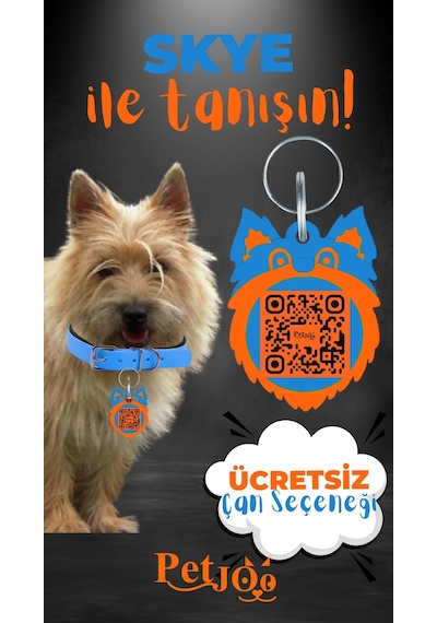 Petjoo 6.Skye Turuncu-Mavi Qr'lı Köpek Künyesi