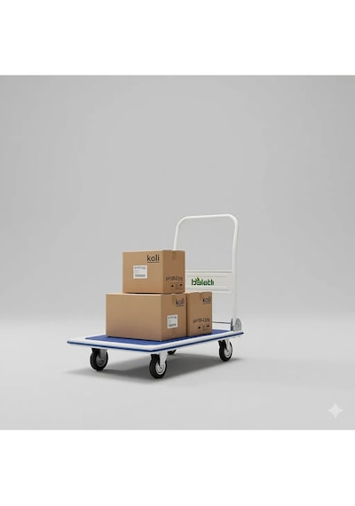 Ph150 Profesyonel Paket Taşıma Arabası 150 Kg Beyaz Güçlendirilmiş Çelik Gövde