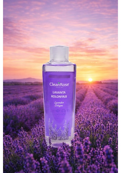 Cleanrose Lavanta Kolonyası - 250 Ml Modern Tasarım Şişe
